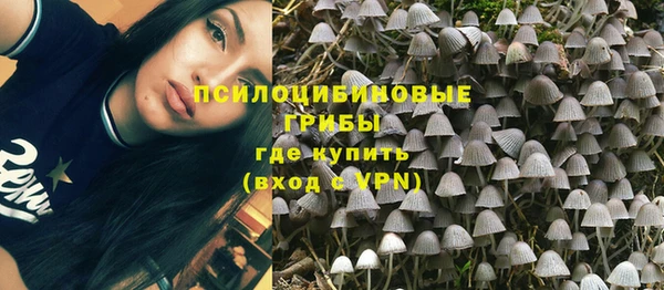 соль курить ск Алексеевка