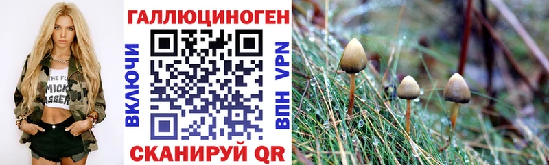 площадка какой сайт  Чёрмоз  Псилоцибиновые грибы ЛСД 